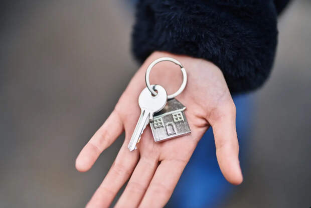 Как защититься при покупке квартиры от "схемы Долиной"