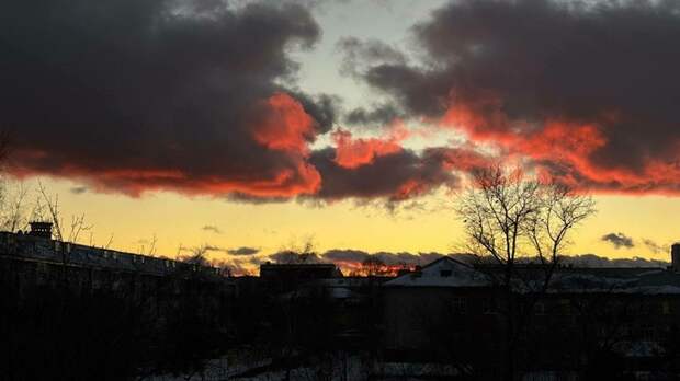 Такой день. Отмена рейсов из Барнаула в Таиланд и пять очагов бешенства