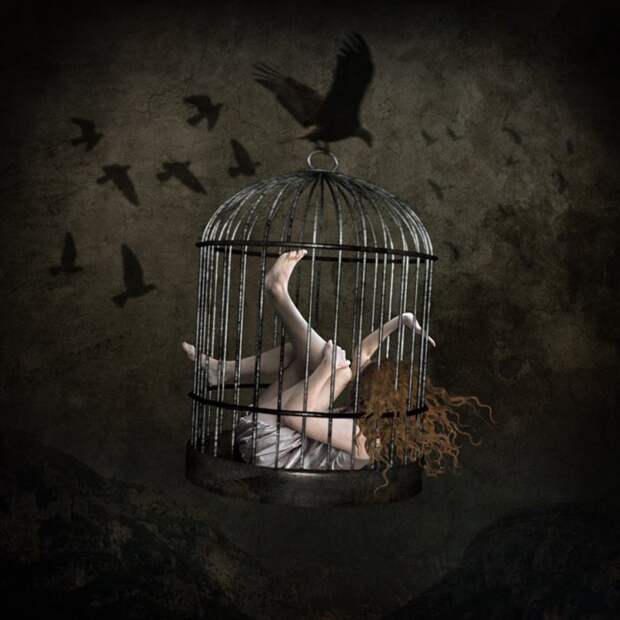 В ловушке. Автор: Sarah Vermeersch. В ловушке. Автор: Sarah Vermeersch.