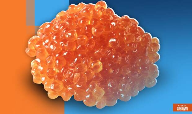 Роскачество выявило кишечную палочку в икре лососевых пяти торговых марок