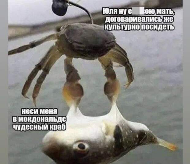Лучшие шутки и мемы из Сети