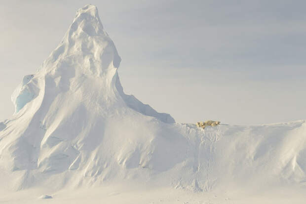 Лучшие фотографии из путешествий по версии National Geographic — 2016