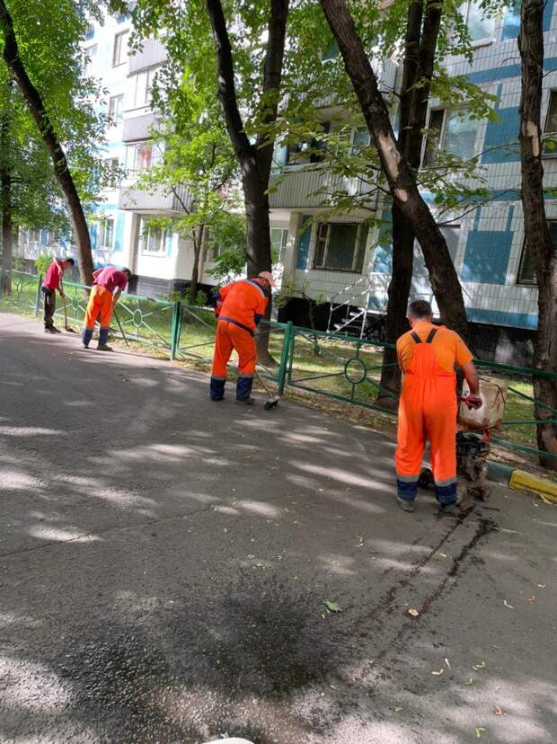 На Санникова заменят асфальт