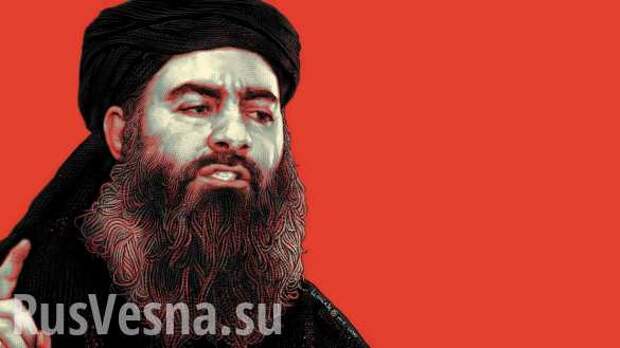 Это позор: Вместо главаря ИГИЛ спецназ США убил «бомжа» (ФОТО, ВИДЕО) | Русская весна