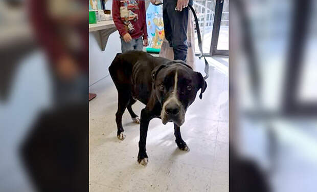 Источник фото: Hernando County Sheriff's Office