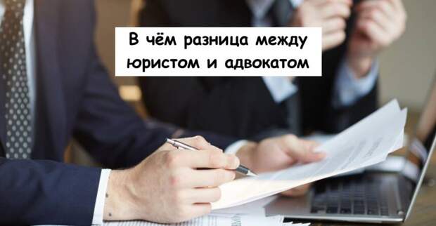В чём разница между юристом и адвокатом