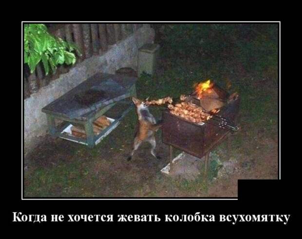 www.vsyako.net