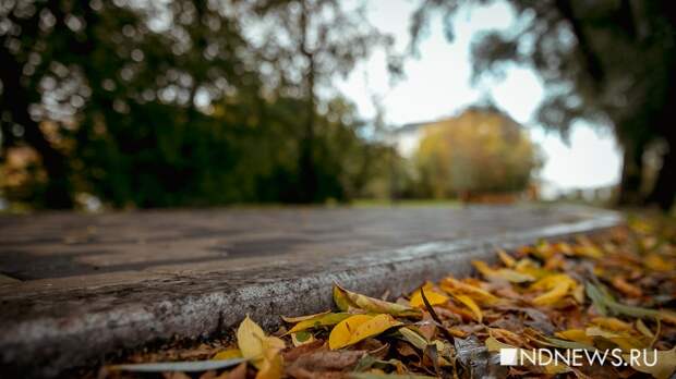 Часть улицы Пушкина станет сквером