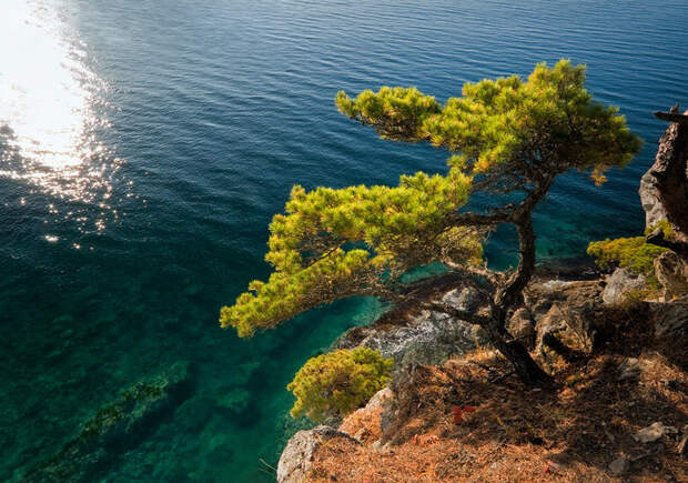 Приморье. Фото