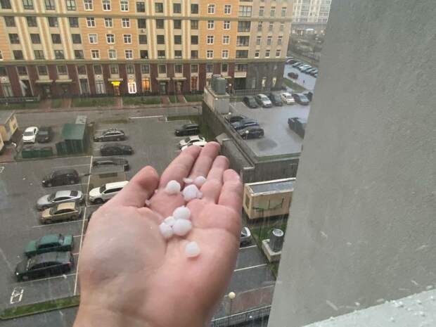 За прогнозы природных ЧП власти Петербурга заплатят почти 3 млн