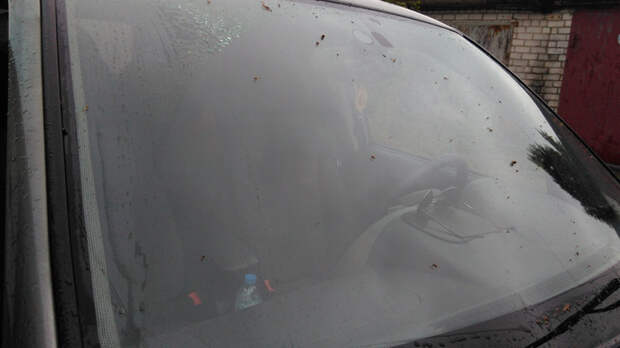 Дедовский способ очистки лобового стекла автомобиля авто, своими руками, стекло, факты