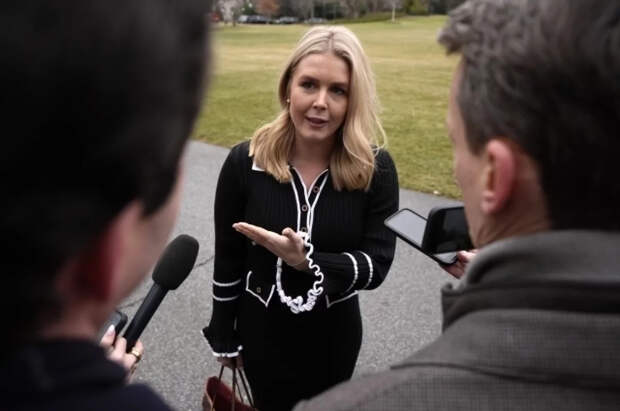 Левитт: встречи США и Дании по Гренландии будут проходить раз в 2-3 недели