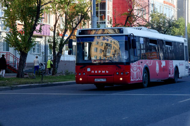 В Перми запустят новую экскурсионную программу на автобусе