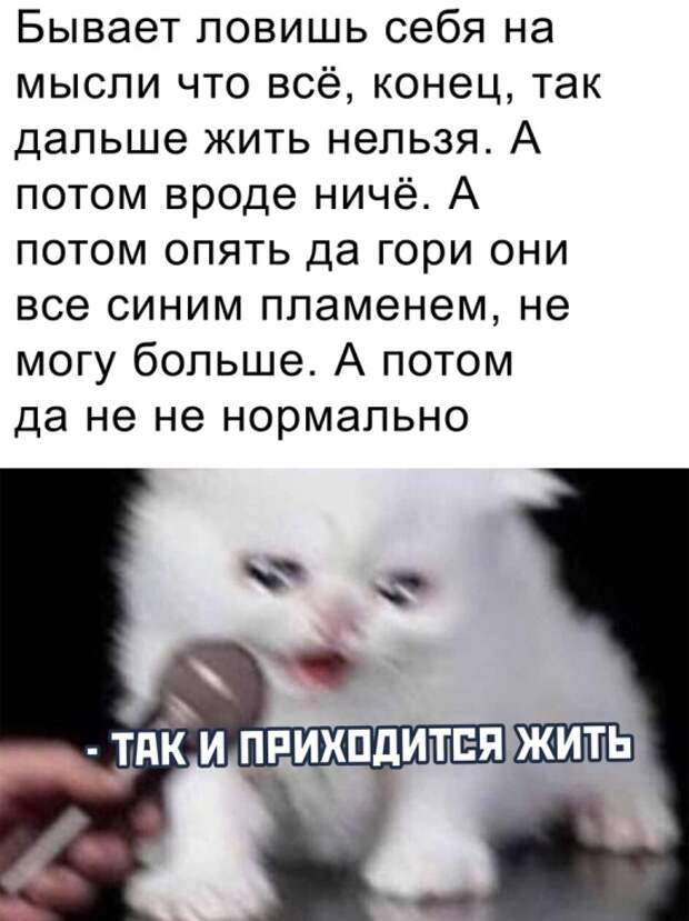 Позитивные картинки Позитивные картинки