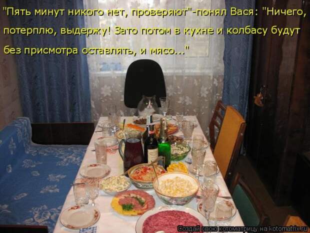 Лучшие котоматрицы недели Лучшие котоматрицы недели