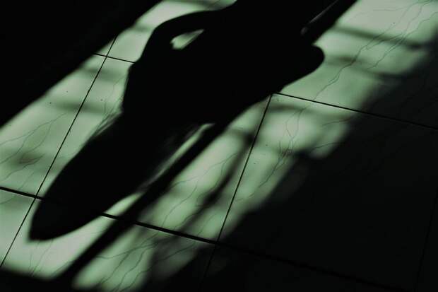 Юмористка пожаловалась на подглядывавшего за ней в спальне пожилого мужчину