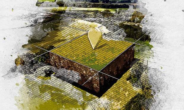 Орловская власть отдала в аренду 12 га леса