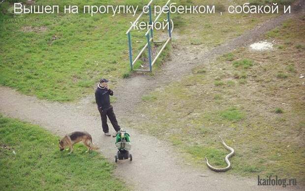 Лучшие открытки 2015-го года (85 картинок) Лучшие открытки 2015-го года (85 картинок)