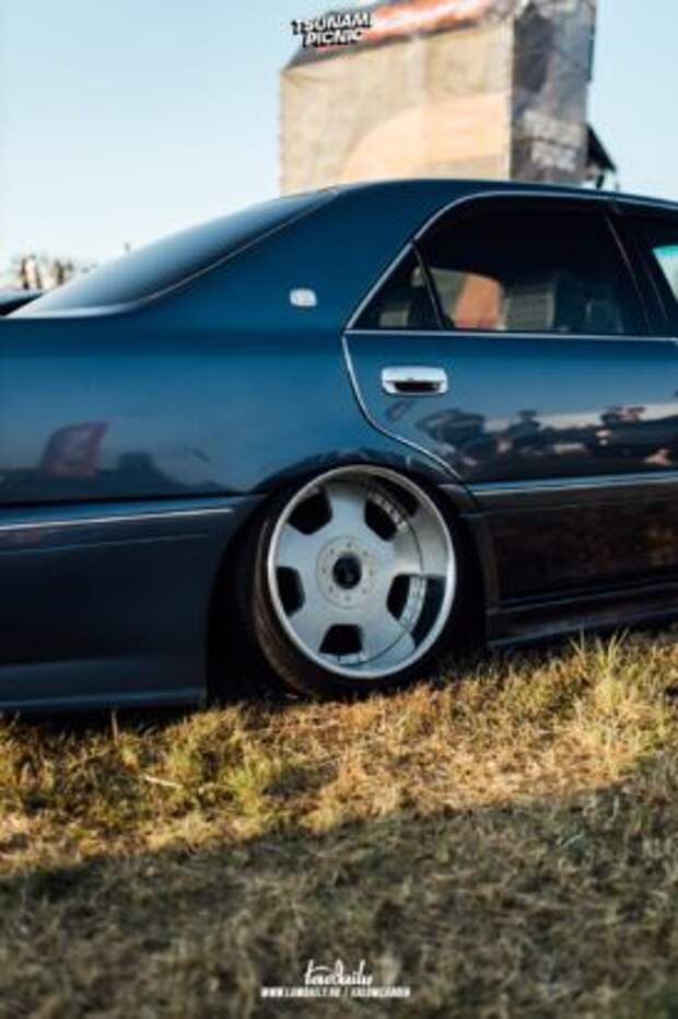 tsunami picnic x lowdaily 60