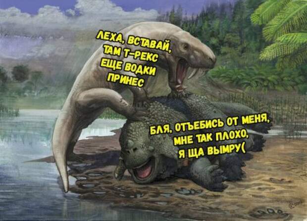 Прикольные фотомемы на Бугаге (32 шт)