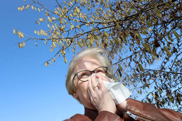 Аллерголог Чернушевич: при аллергии не поднимается температура