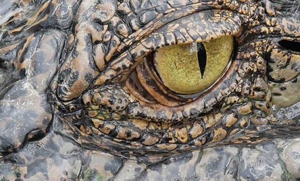 3 3
