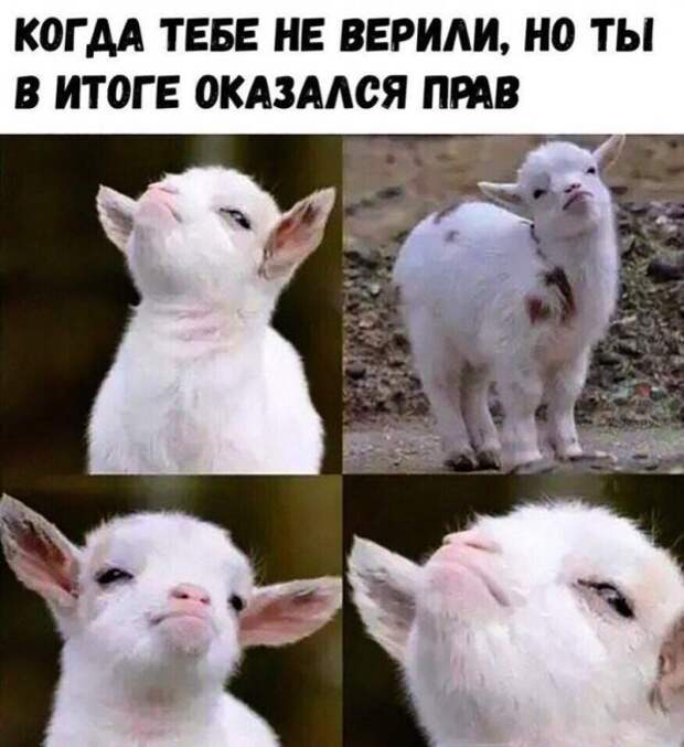 Приколы в стиле "Когда..."