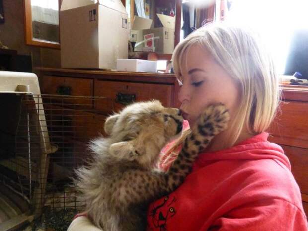 Она спасла котенка гепарда от охотников за трофеями и он стал её лучшим другом