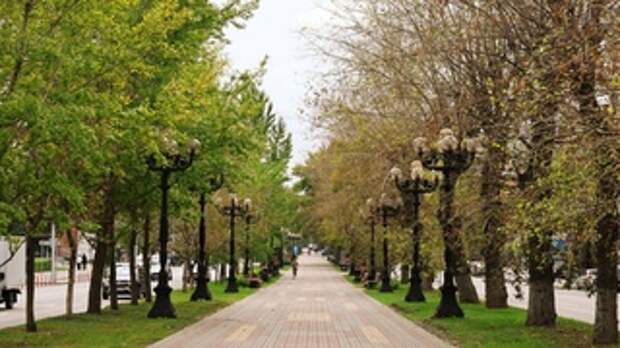 Осень в Барнауле / Фото: Екатерина Смолихина / amic.ru