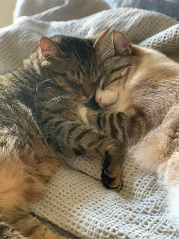 59123550_original (525x700, 378Kb)