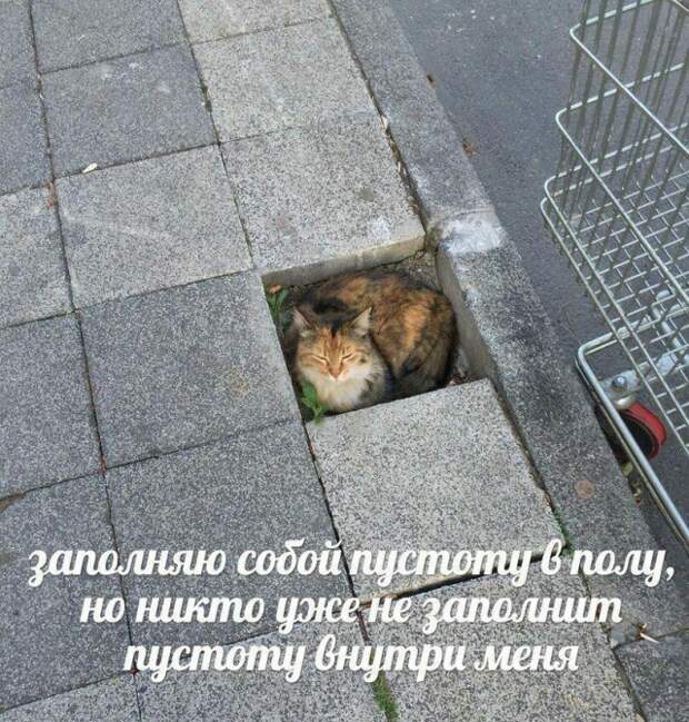 www.vsyako.net