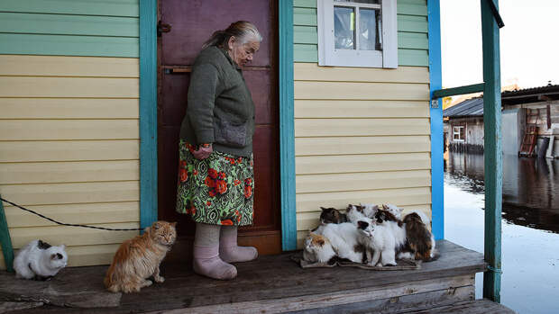 Россияне мечтают о пенсии в 40 тысяч рублей