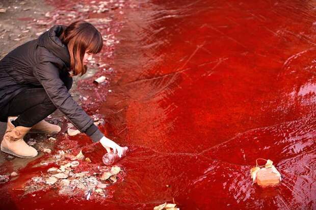 Река Цзинхе, Китай загрязнение окружающей среды, реки, фото, экология