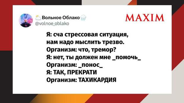 Лучшие шутки недели и догоняющий тип привязанности