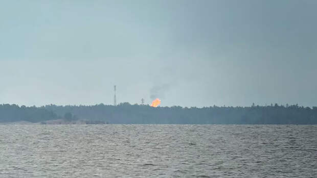 Экономист Кондратьев допустил, что "Газпром" сжигает газ на финской границе себе в убыток