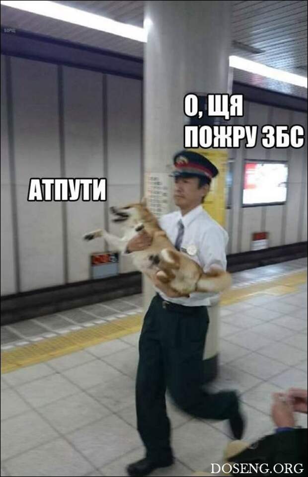 Прикольные картинки