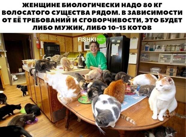 9. Плавно переходим к жизненным мемам 9. Плавно переходим к жизненным мемам