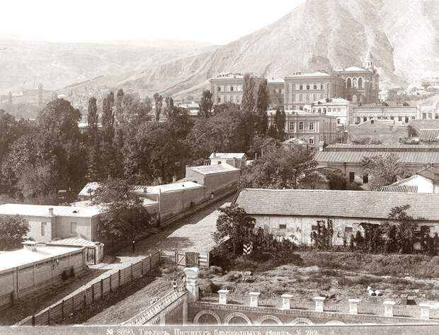 Тифлис (Тбилиси). 1910-е.