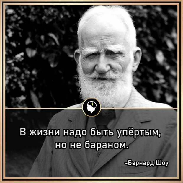 Картинка из открытых источников.
