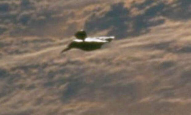 С МКС сняли на видео неопознанный объект: неизвестный космический корабль 20 минут летел рядом