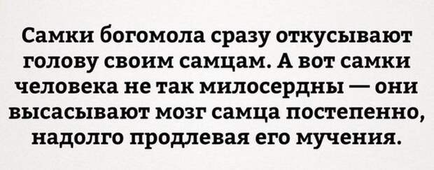 Прикольные картинки. Дневной выпуск  история, прикол, юмор