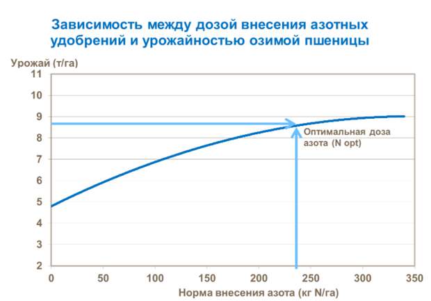 Иногда мне кажется, что наша спецоперация на Украине не столько озадачила западных лидеров, сколько оказала им огромную услугу.-4