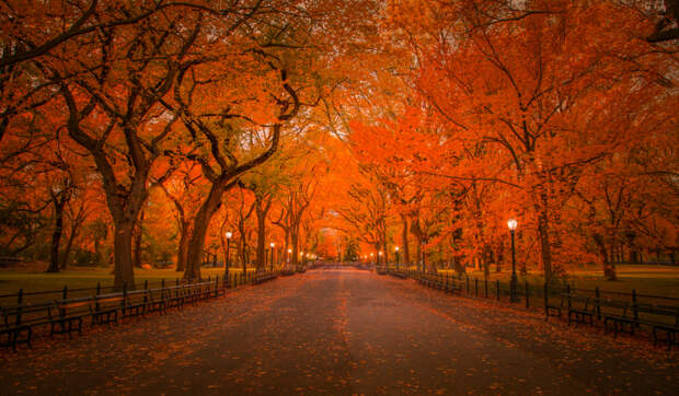 Autumn in Central Park, New York by John S on 500px.com