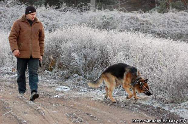 Я, бухой, третьего января в пять утра пошел с собакой гулять....