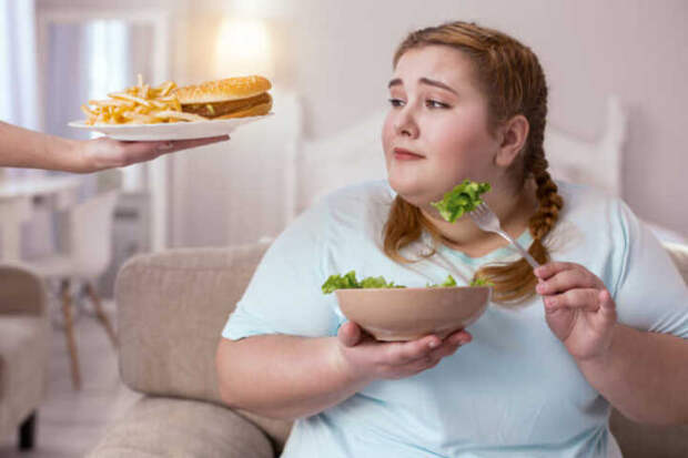 Переедание не вызывает ожирения, если знать что и когда кушать