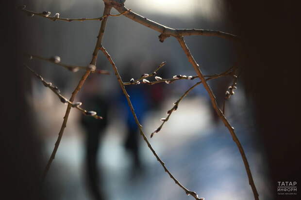 В Татарстане ожидается переменная облачность и до +13˚ днем