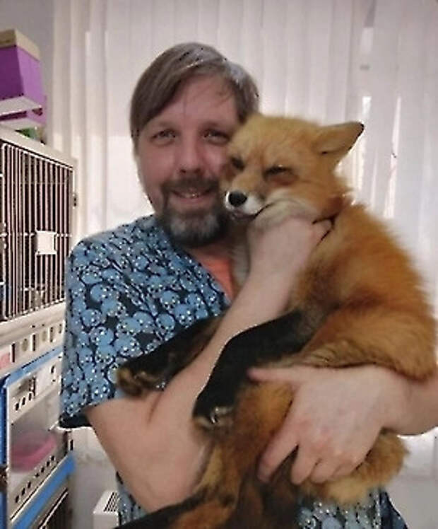 Ветеринар предупредил, что капли на холку могут вызывать судороги у животных