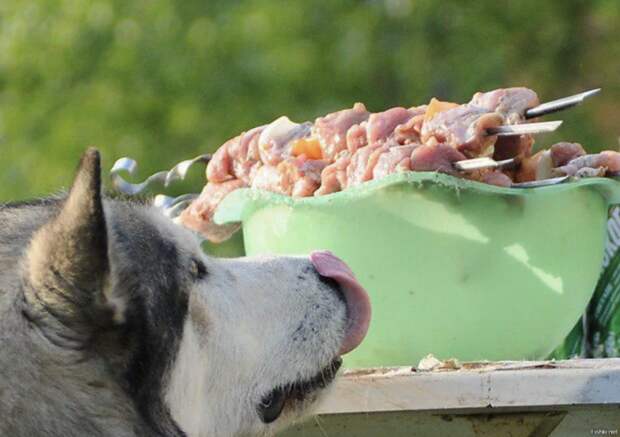 230088ae61903b0a91c140f9da2cb35d (700x494, 528Kb)