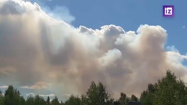 В России действует 152 лесных пожара