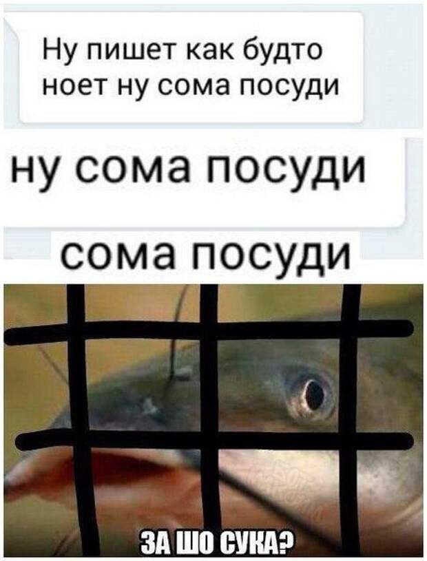 Уморительные перлы из социальных сетей Уморительные перлы из социальных сетей